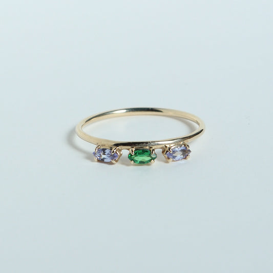 HA Ring Suntubu/Green Garnet, Tanzanite