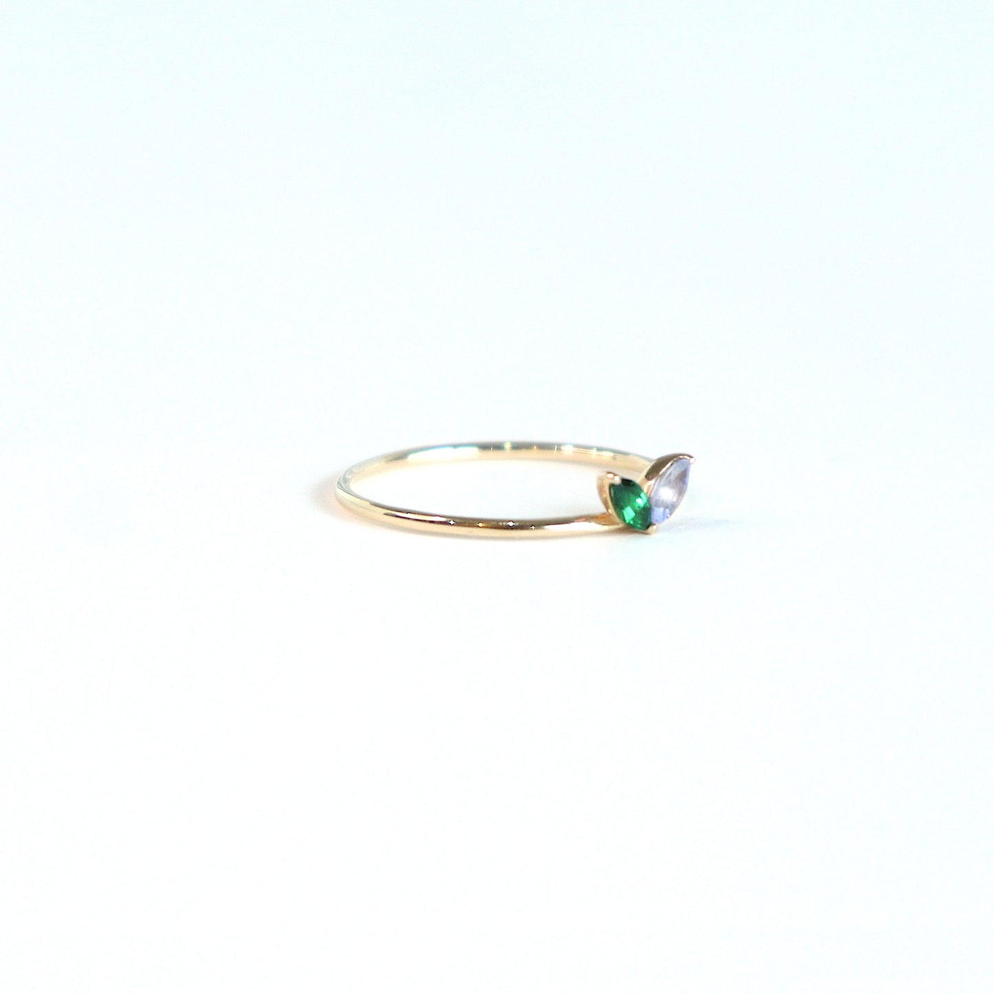 HA Ring フタツブLR n/Green Garnet , Tanzanite