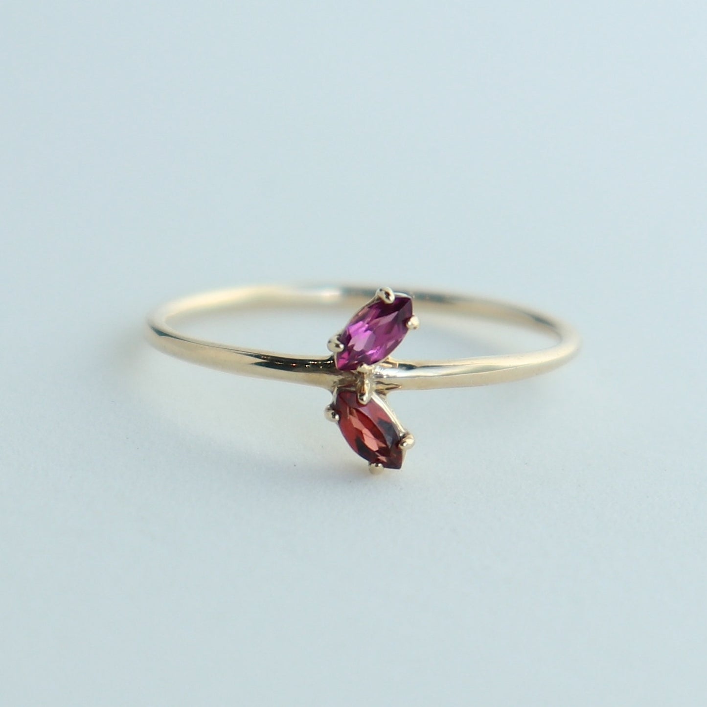 HA Ring フタツブUD/Rhodolite Garnet , Garnet