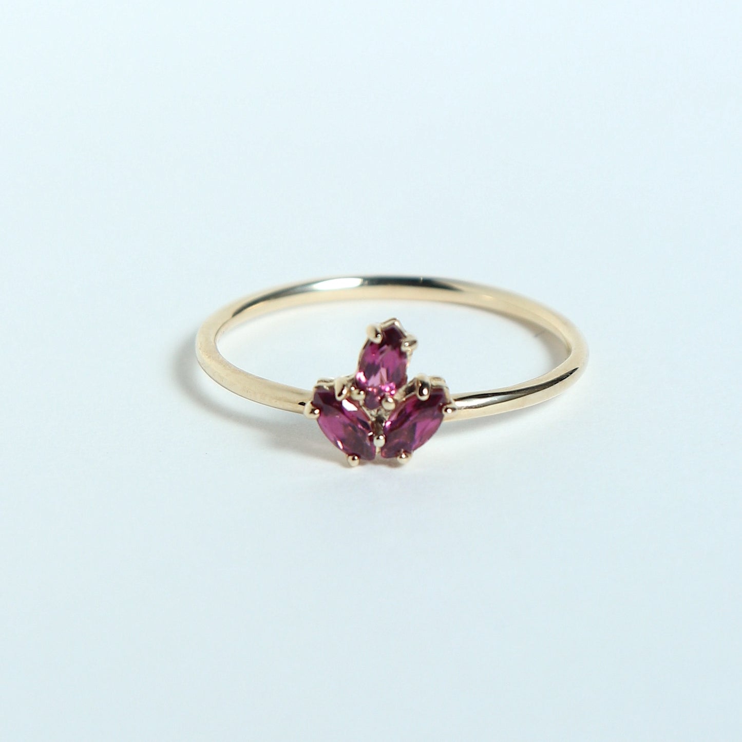 HA Ring Suntubu/Rhodolite Garnet