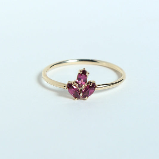 HA Ring サンツブ/Rhodolite Garnet