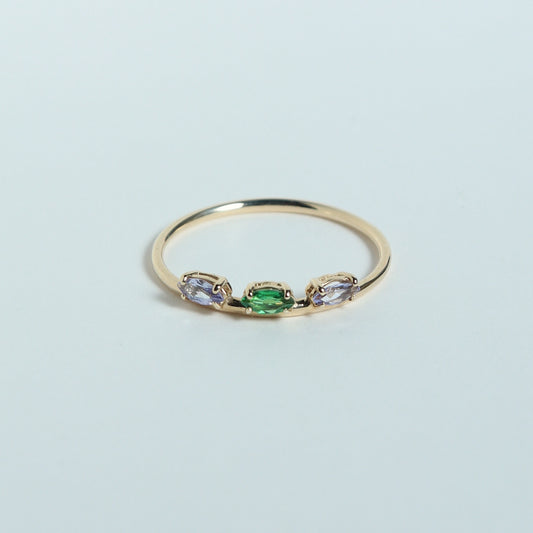 HA Ring Suntubu/Green Garnet, Tanzanite